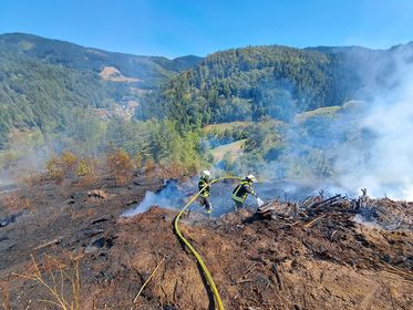 Waldbrand Kirnbach