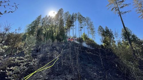 Waldbrand Kirnbach