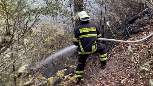 Vegetationsbrand Hausach