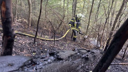 Vegetationsbrand Hausach